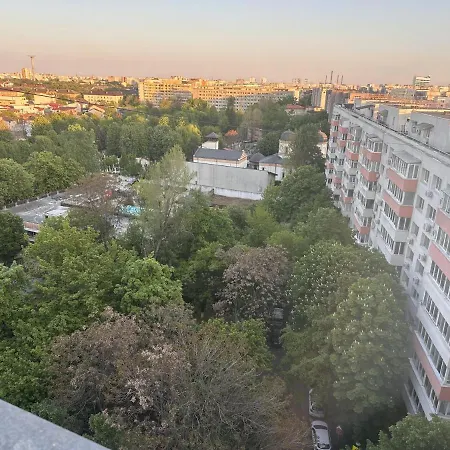 Cochet * Bucharest